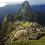 0008_Machu-Picchu07-1536x1027