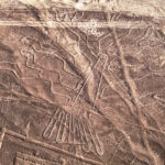 nasca_0000_Capa 4